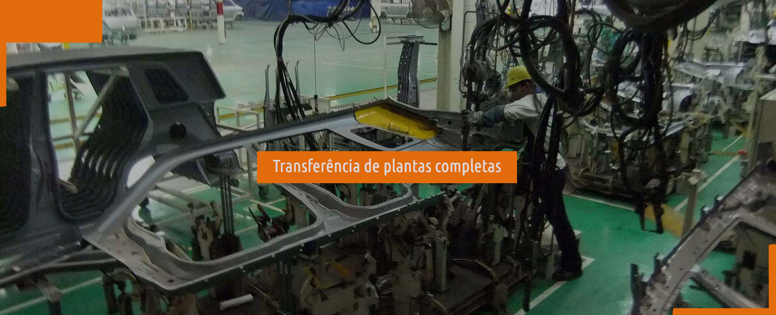 Transferência de Plantas Completas
